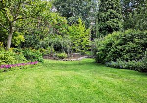 Optimiser l'expérience du jardin à Montrevel-en-Bresse